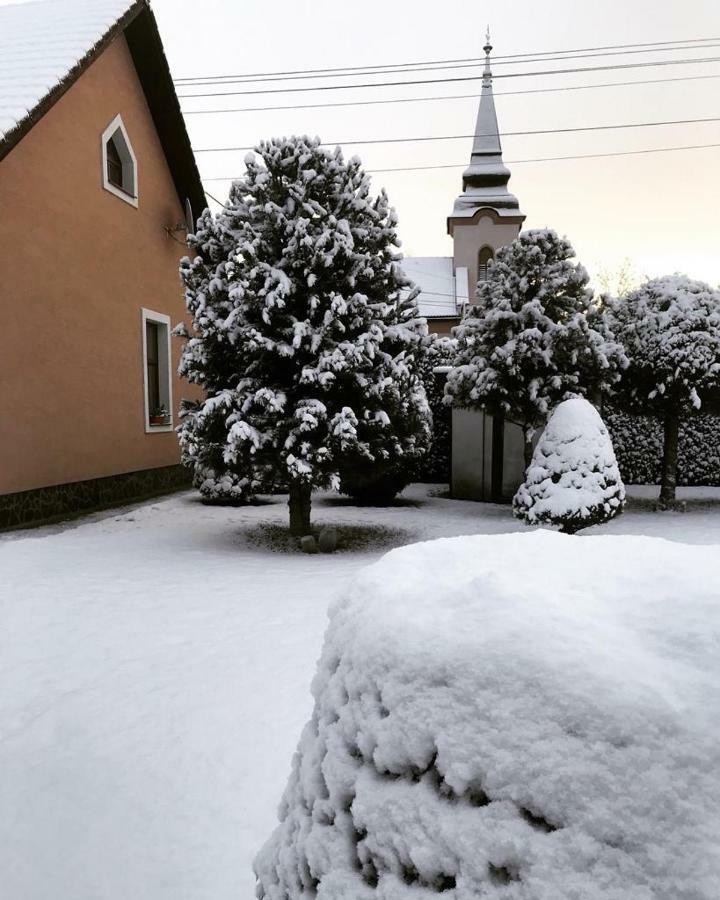 Vidiecky dom AlexSandra - ubytovanie v súkromí Liptovska Ondrasova Exterior foto